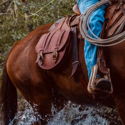 Holiday Gift Bags For Christmas Double Saddle Bag