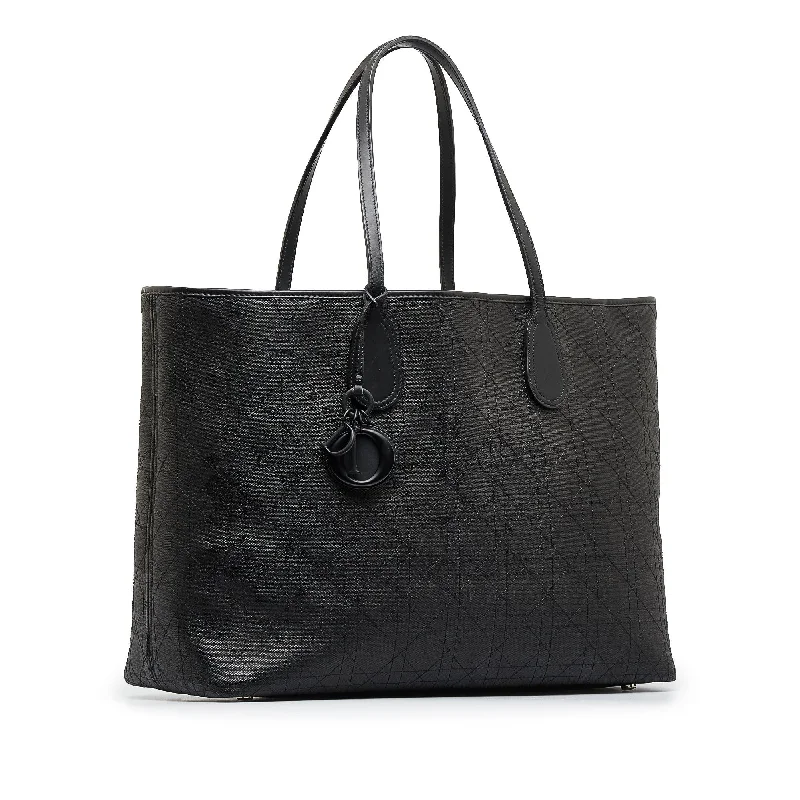 Designer-Inspired Bags At Budget-Friendly Prices Dior Medium Rosato Panarea Tote Bag (SHG-0l4Olq)